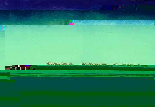 Maleglitch.net